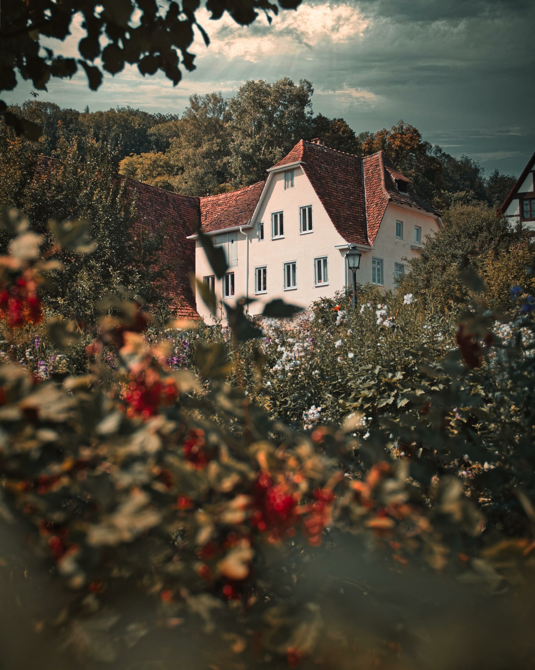 barneyelo house 5428913